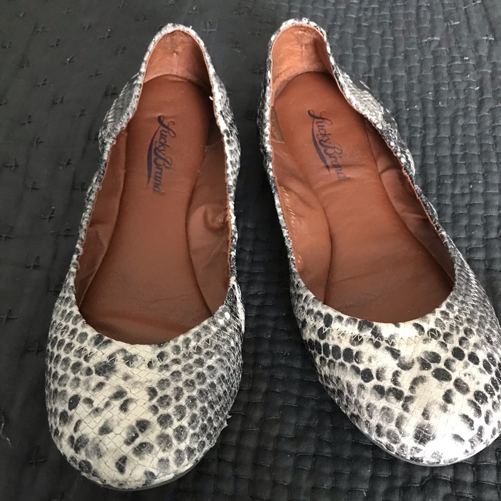 Chic and fun snake print Lucky Brand flats.